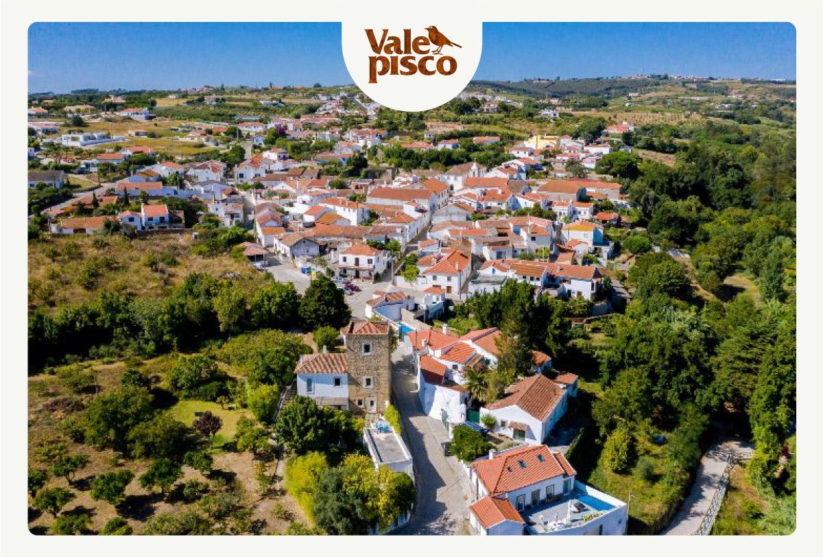 O que fazer no Carvalhal do Bombarral - Quinta Vale Pisco