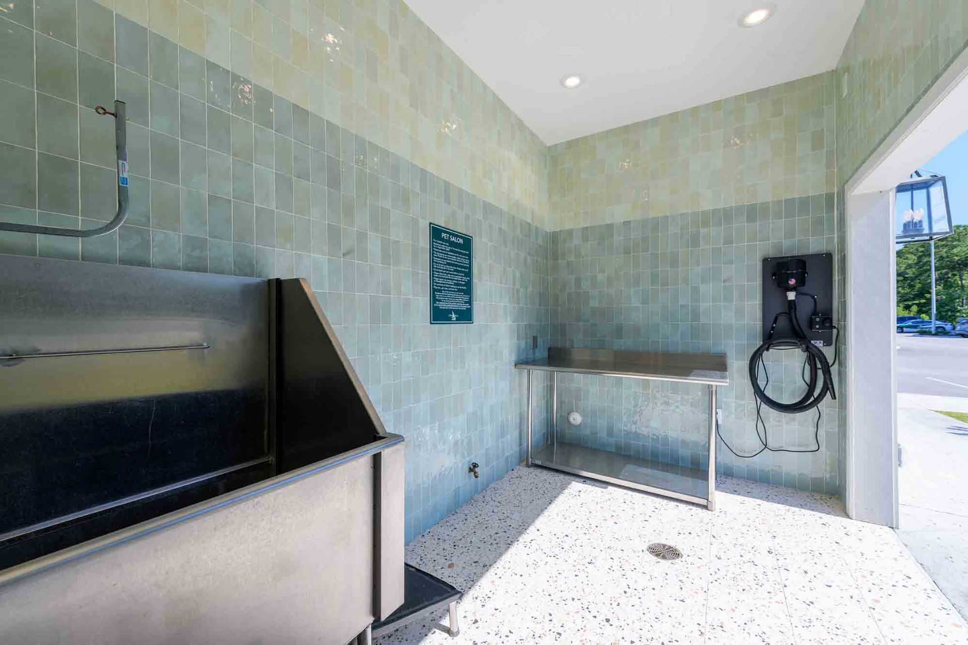 Dog wash station with stainless steel tub and countertop, pale green tiled walls, and outdoor access.
