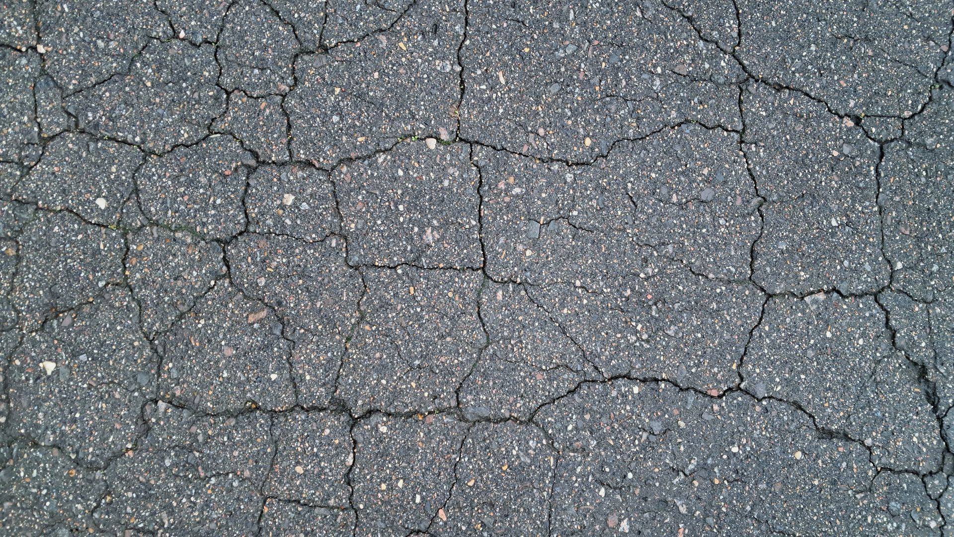 Paving repair contractor inspecting cracked asphalt pavement Paving repair contractor inspecting cracked asphalt pavement
