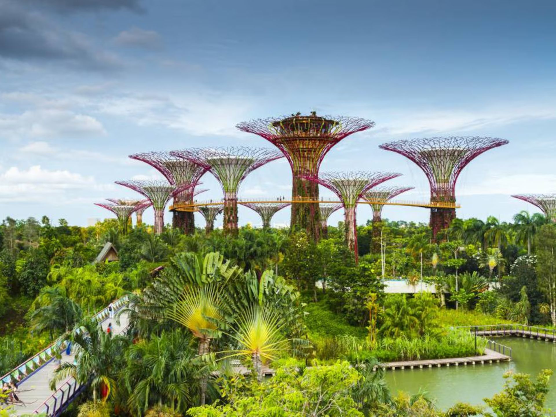 Gardens by the Bay, Singapore: Futuristic 