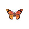 Monarch Games Logo of a monarch butterfly
