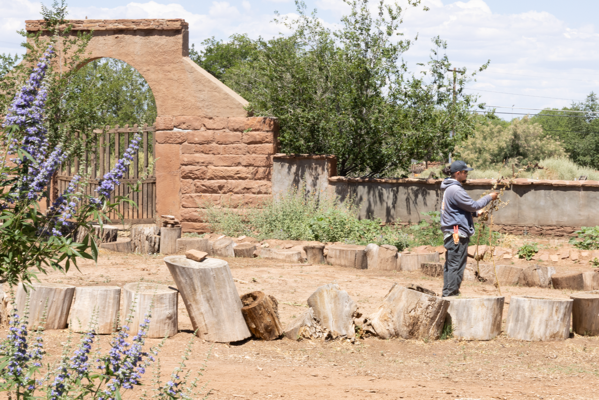 Person in blue shirt stands by cut tree stumps in a dry yard beside a rustic stone wall and house