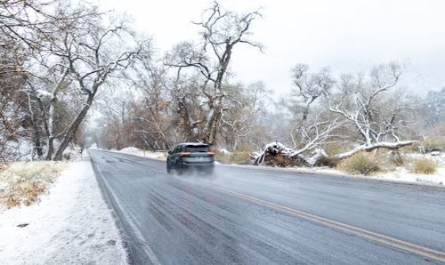 Black car driving on a snow-covered road lined by bare trees under a cloudy sky.