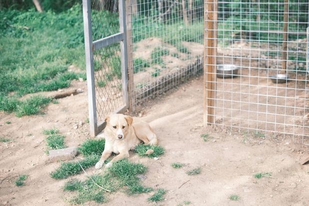 Chain link fence installation