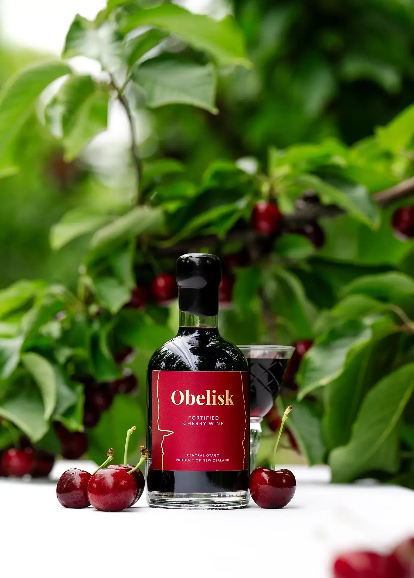 Obelisk Fortified Cherry Wine Our Unique Story From Cherry Orchard to Bottle