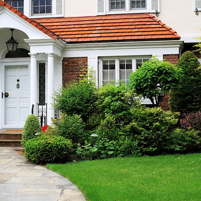 Home Big Branch Tree Service Inc.