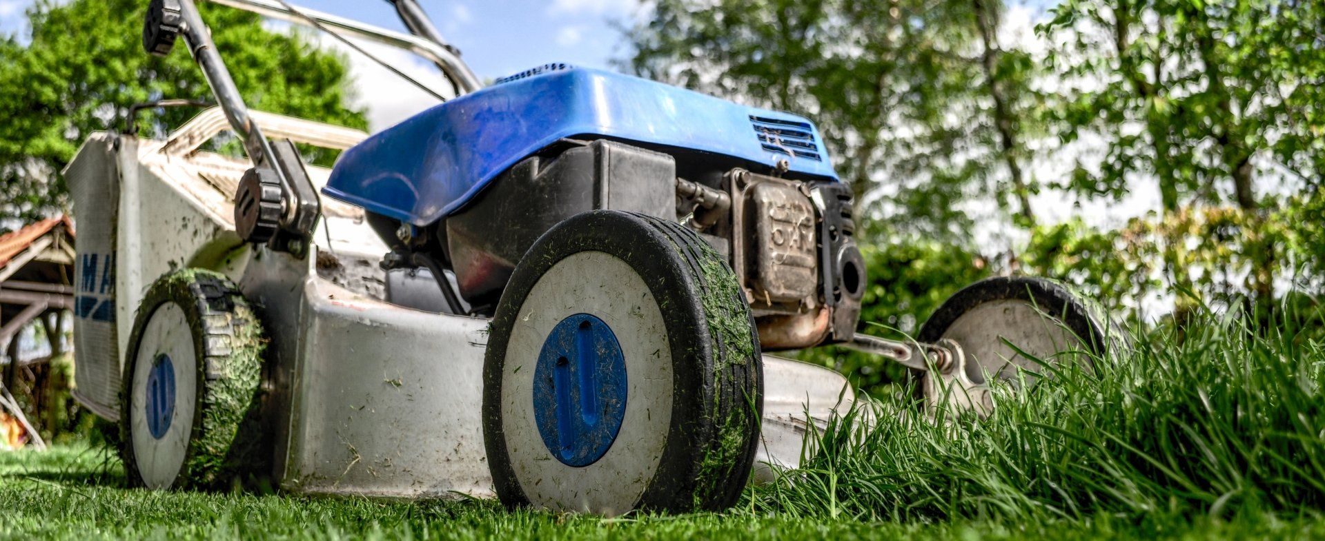 landscaping, landscaping services, mowing, trimming, sprinklers, sprinkler systems, grass, grass care and info, grass services