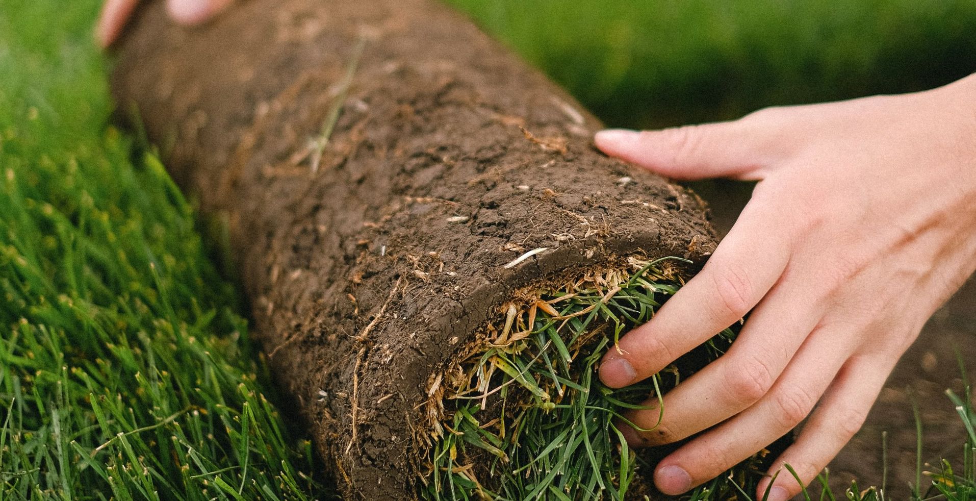 artificial grass, landscaping, landscaping services, mowing, trimming, sprinklers, sprinkler systems, grass, grass care and info, grass services