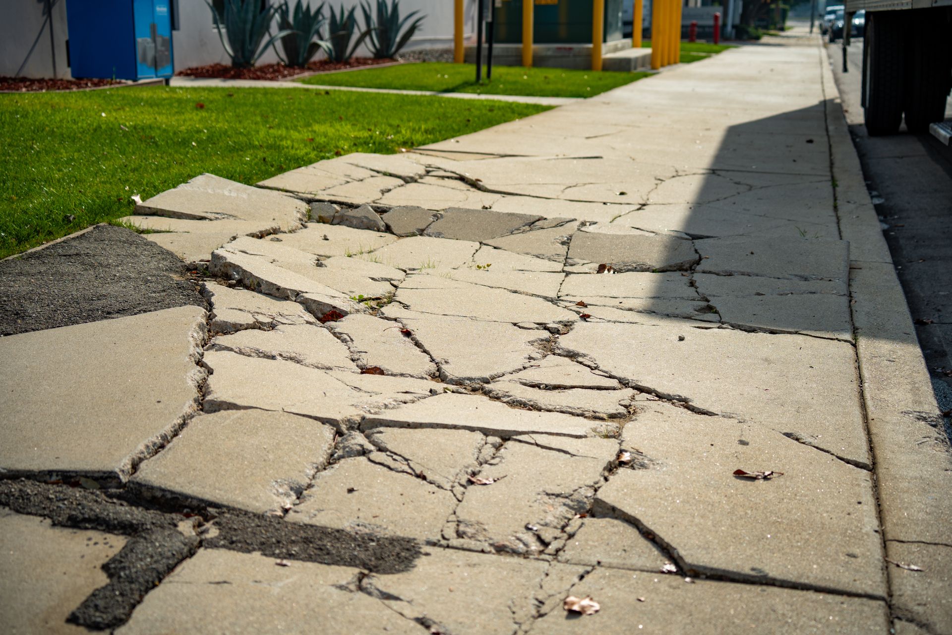 Cracked concrete sidewalk
