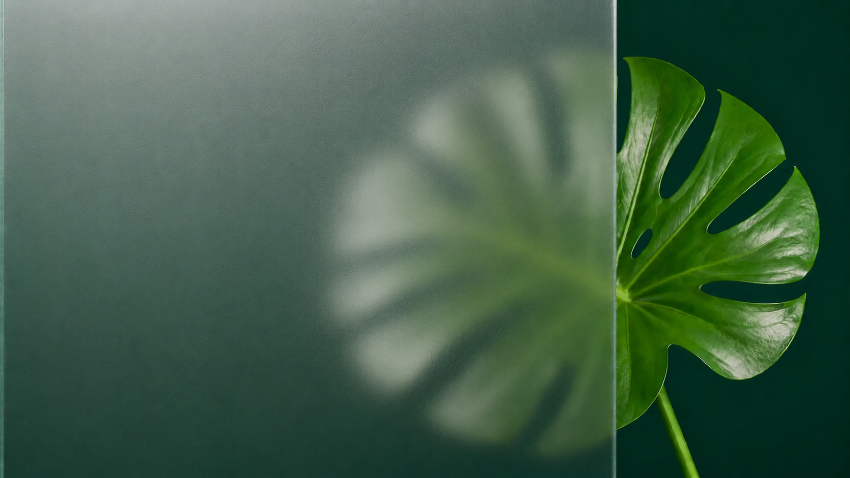 Split image of a blurred green leaf on the left and a sharp monstera leaf on the right, on a dark background