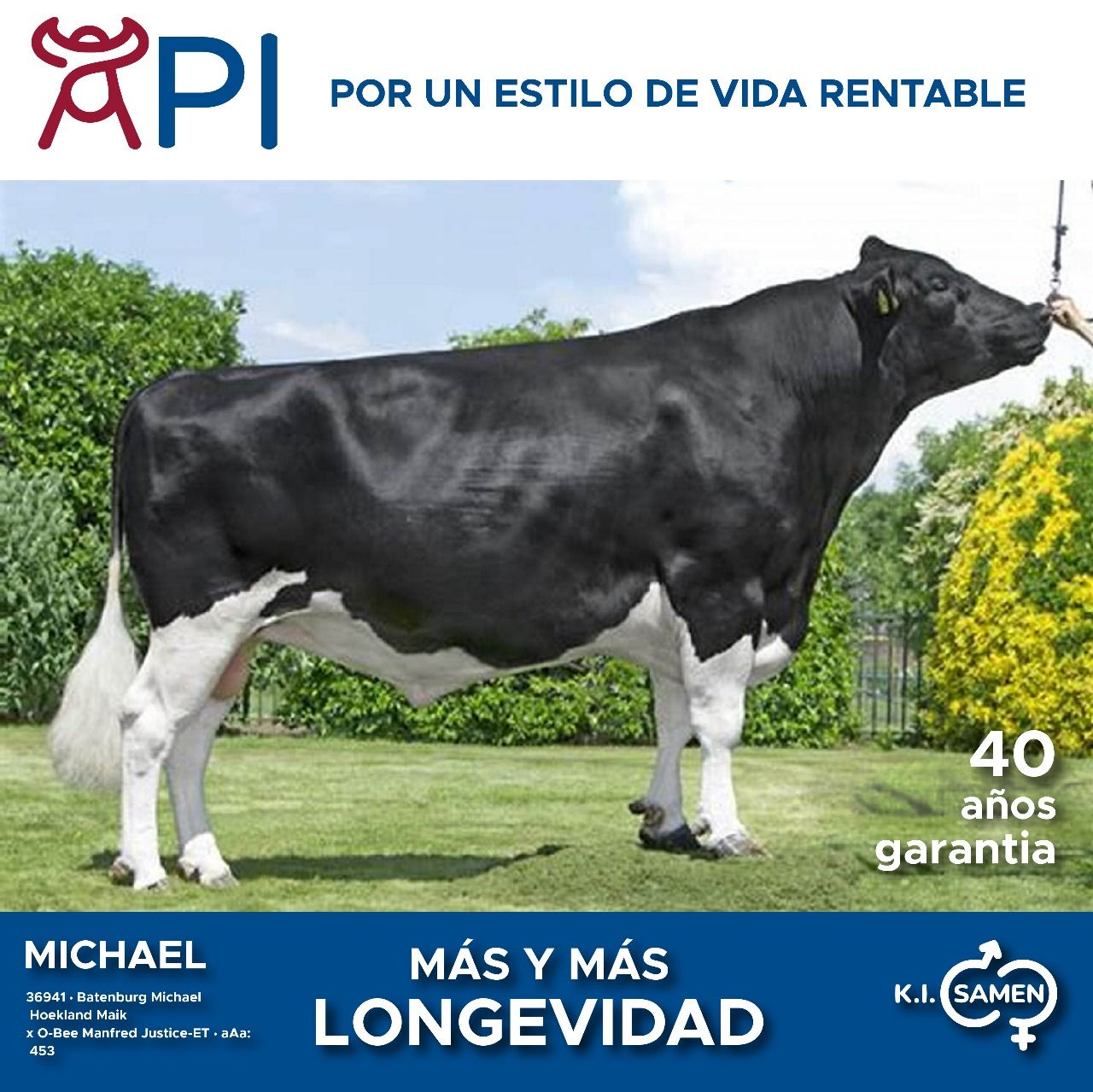 Una vaca blanca y negra parada en un campo de hierba