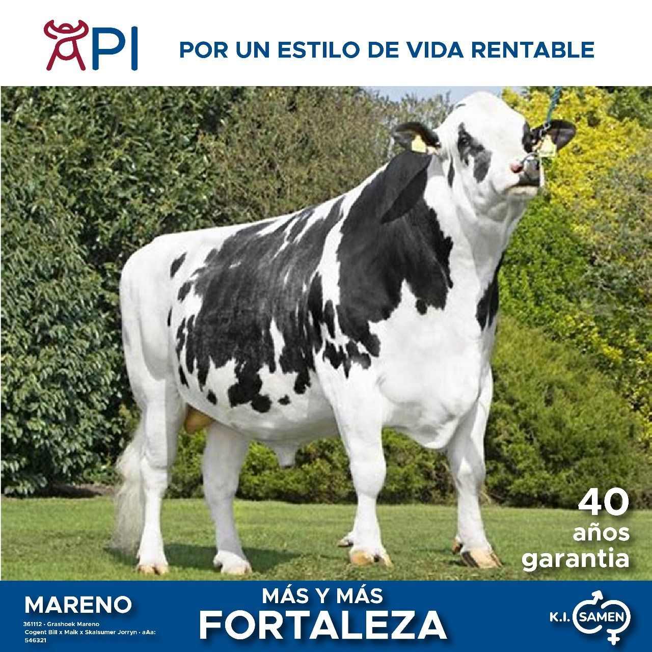 Una vaca blanca y negra parada en un campo de hierba