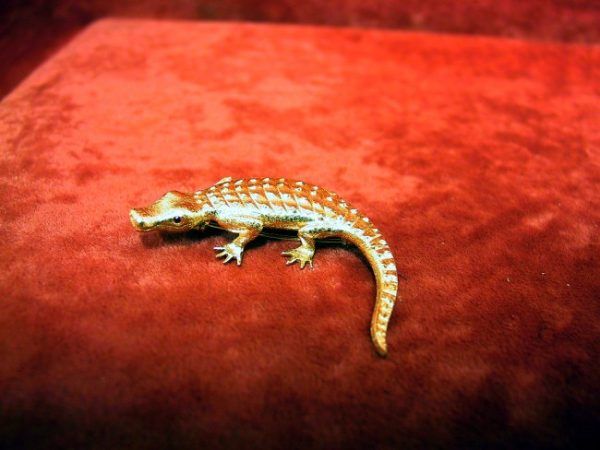 Broche krokodil