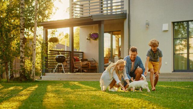If you are a landlord, make sure you know about the new pet rules for tenants.