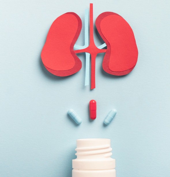 A paper cut out of a kidney and a bottle of pills
