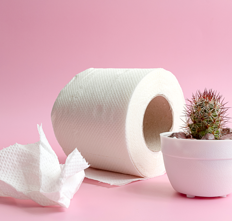 A roll of toilet paper and a potted cactus on a pink background.