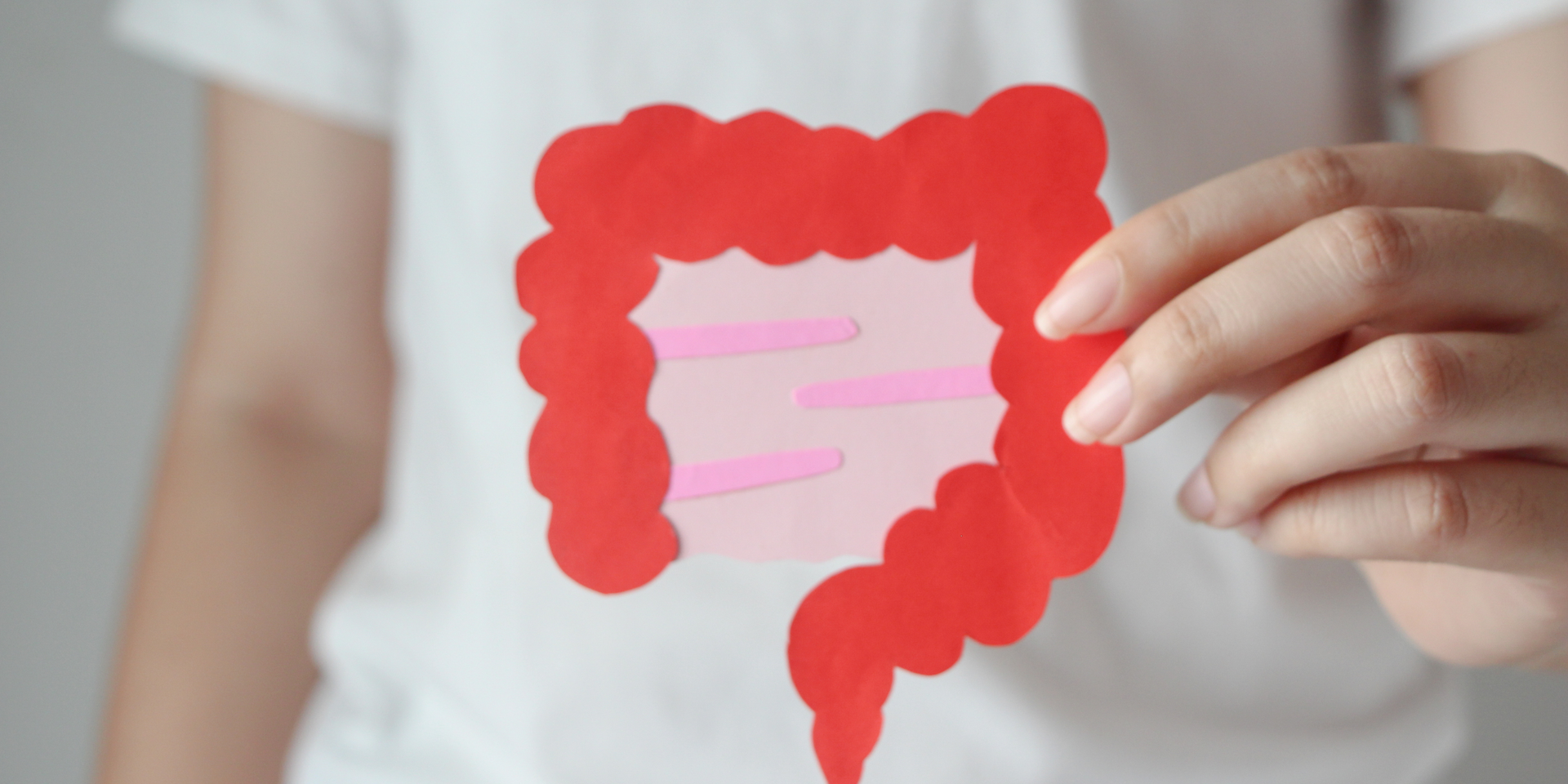 A person is holding a paper cut out of a large intestine.
