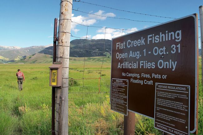 Flat Creek Fishing sign in a green field with mountains and a person walking nearby