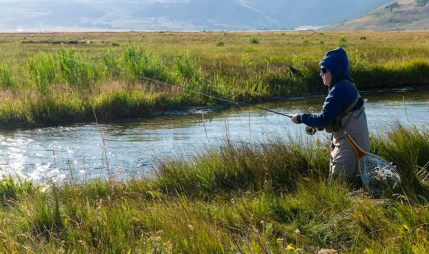 Person fishing in a grassy wetland beside a sunlit river