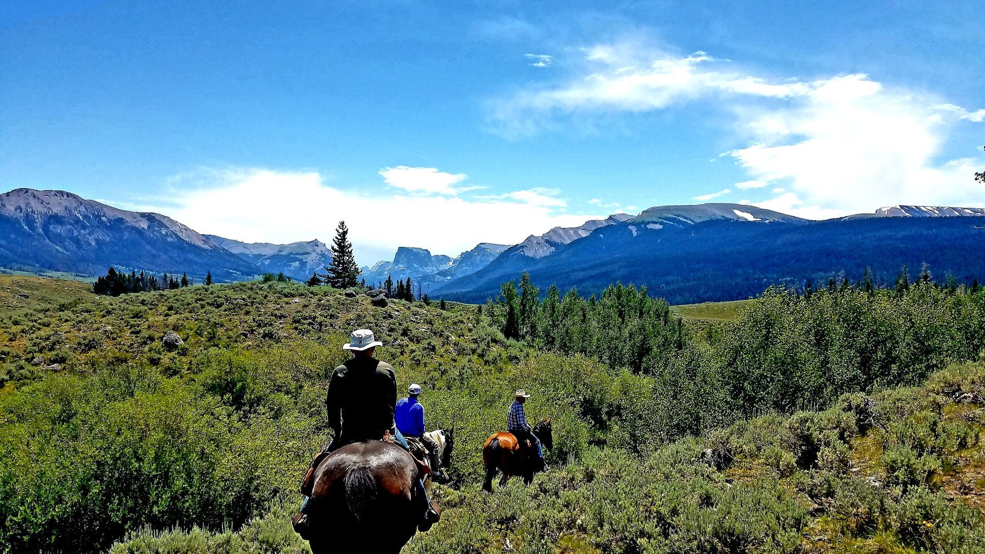 Hikers on a green mountain trail with snowy peaks and blue sky in the distance