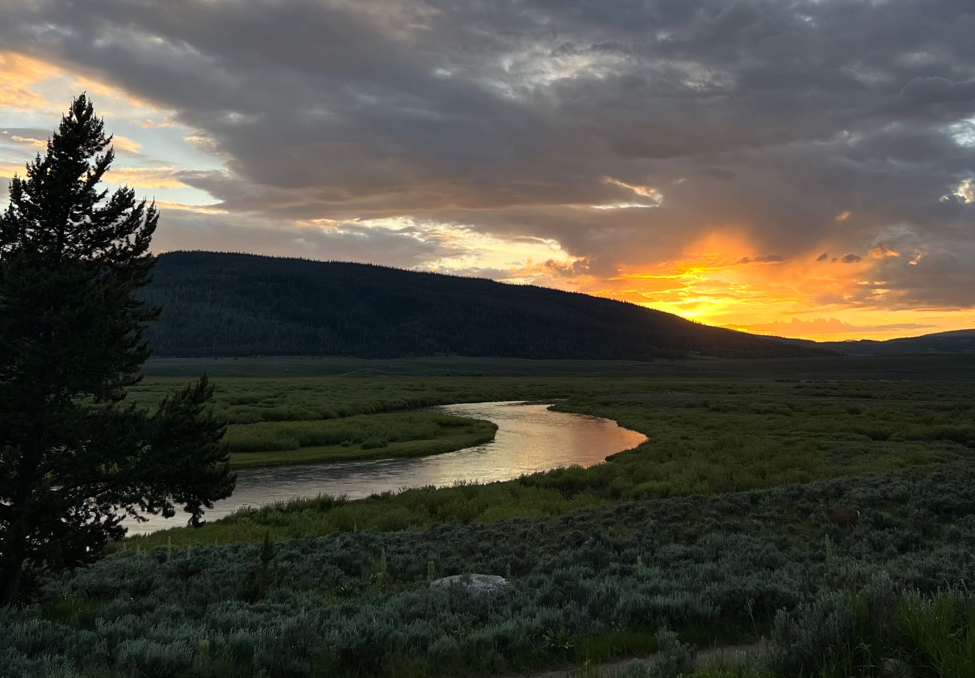 Sunset over a winding river through green fields, with dark hills and a silhouetted tree in the foreground.