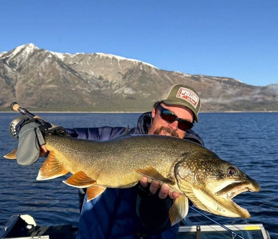 Angler holding a large golden fish on a boat with mountains and blue water in the background
