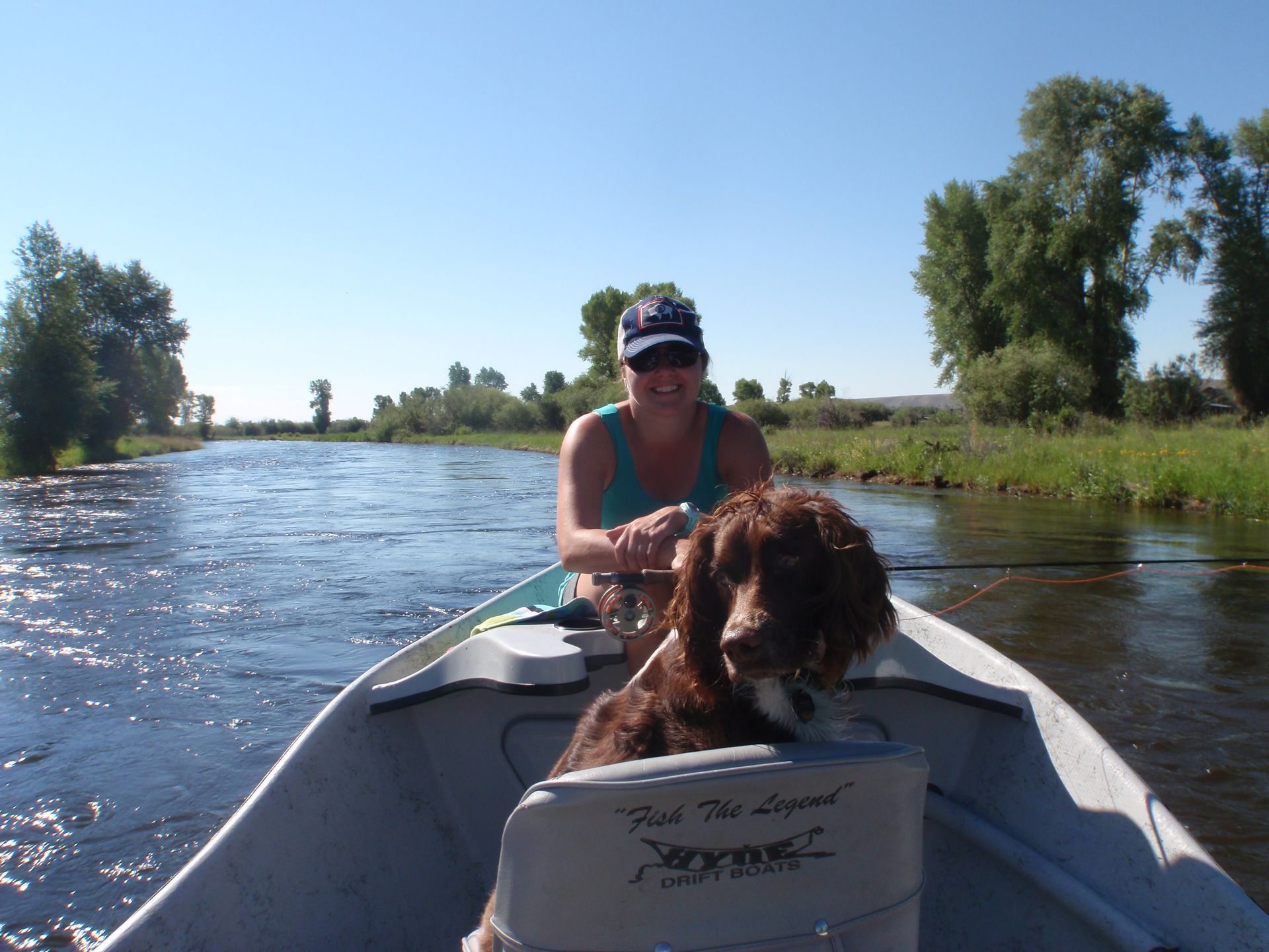 Person steering a small boat with a brown dog on the bow, moving along a sunny river