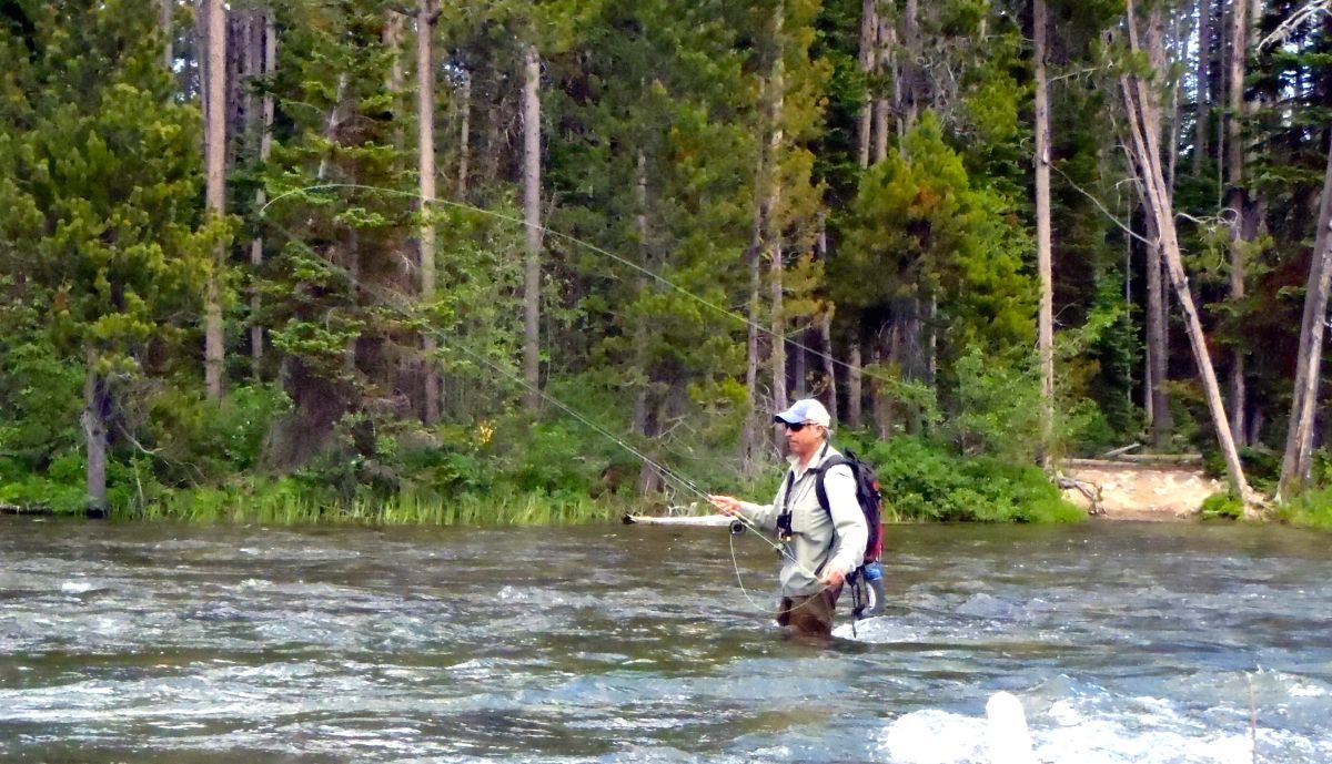 Angler wading in a river, casting a fly rod with forested bank in the background