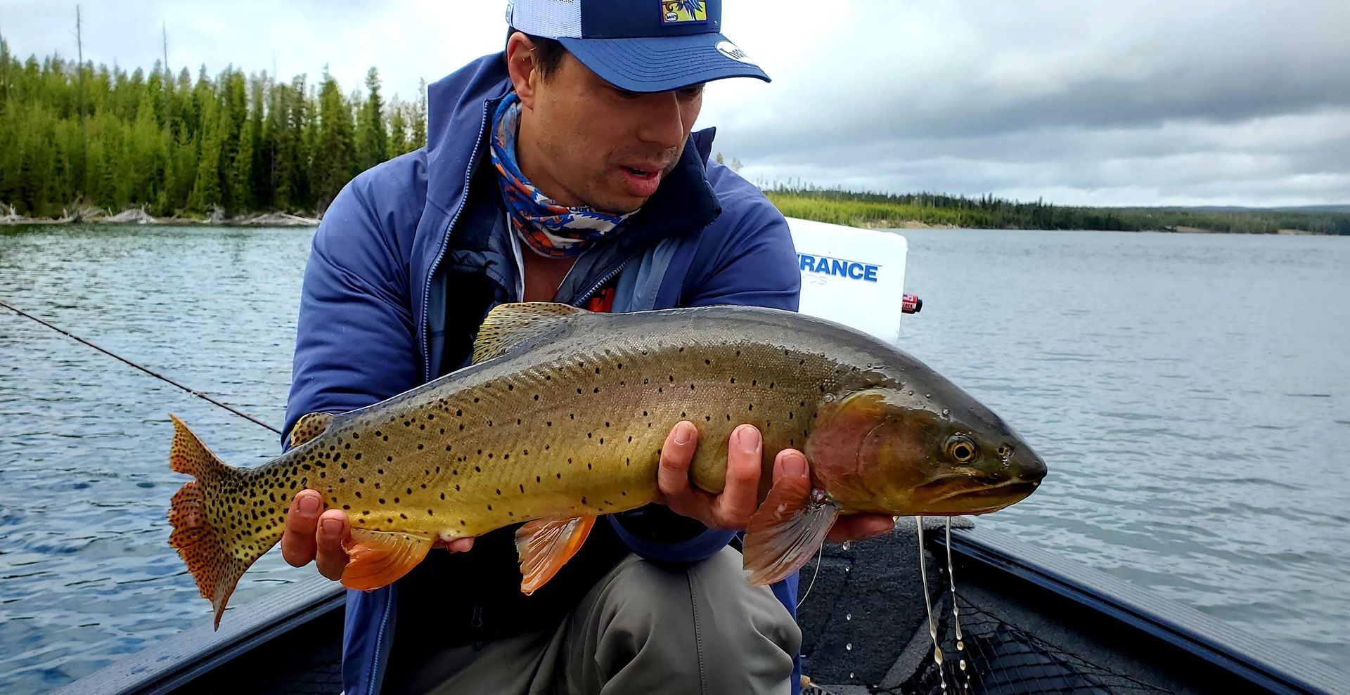 Angler in blue jacket holding a large fish on a boat on a lake, with forested shoreline behind.