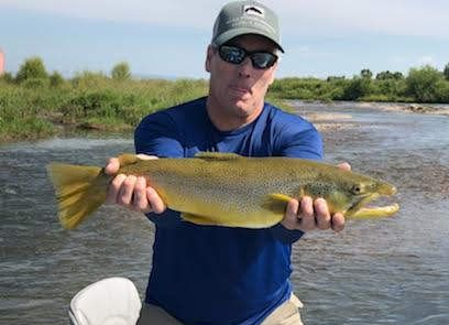 Angler in a blue shirt and cap holding a large yellow fish while standing in a river