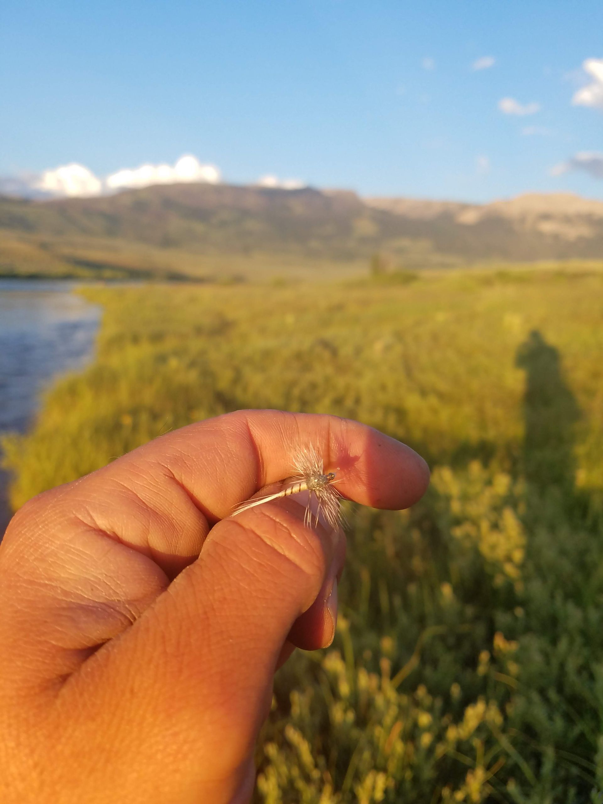 Hand holding a tiny insect above a green field and lake at sunset