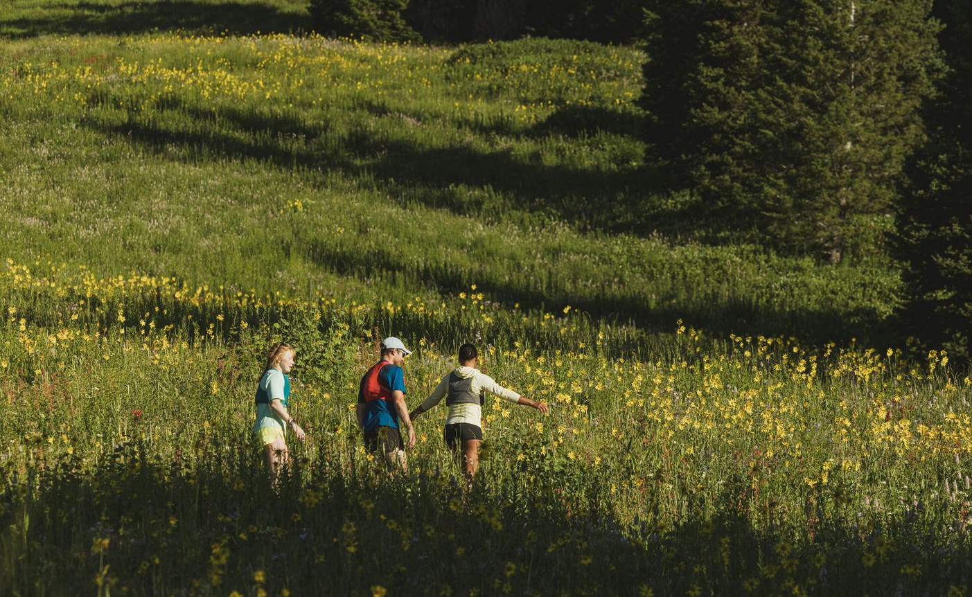 Three people walking through a sunlit grassy meadow