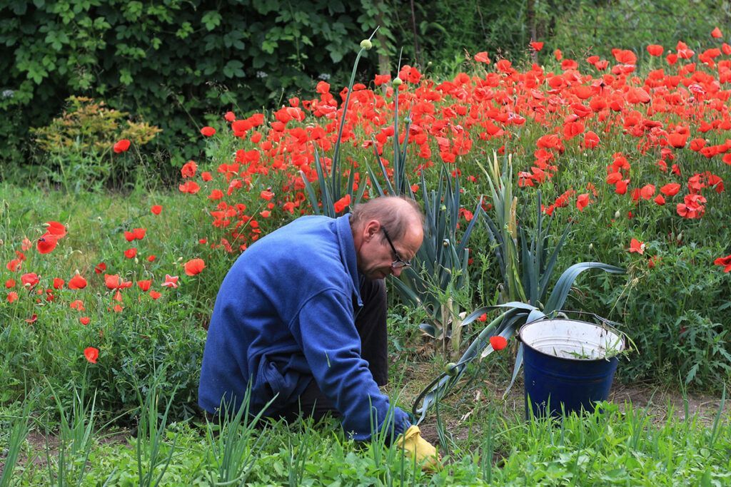 Gardener maintaining plants with drip irrigation systems in Ocala, FL