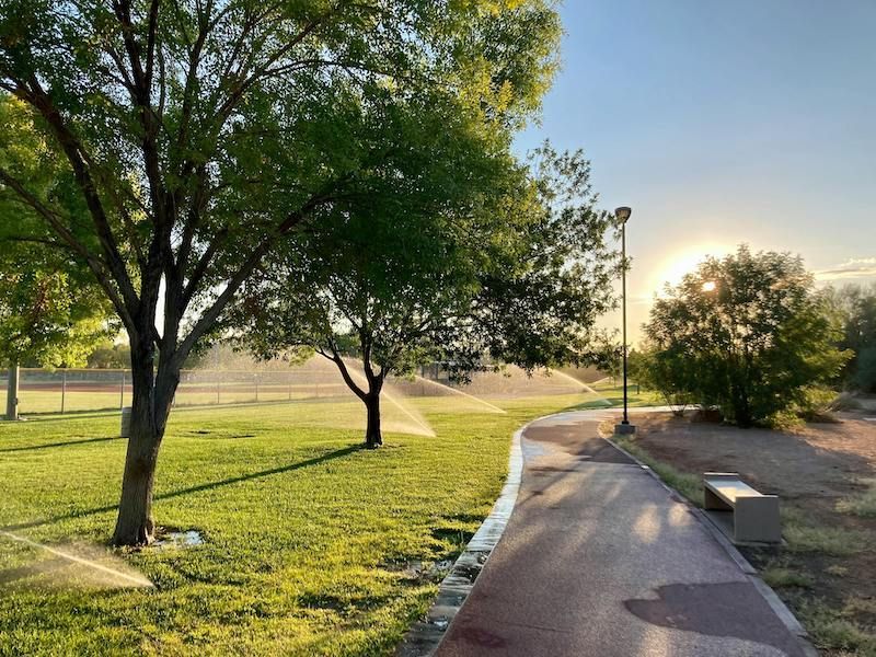 Sunlit park path curving past green trees and grass at sunrise