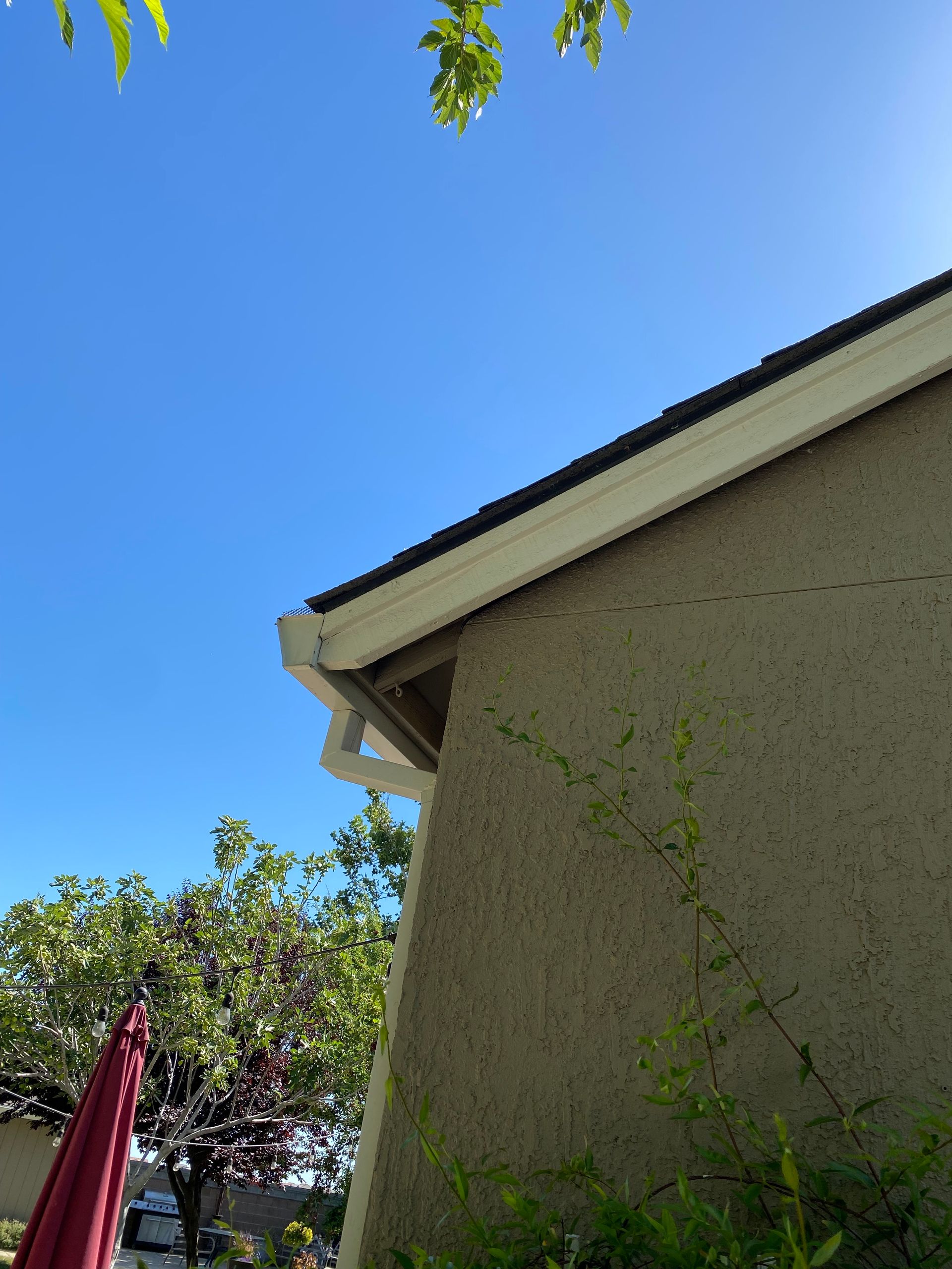 Blue sky above a stucco house roofline with leafy branches and a red patio umbrella corner