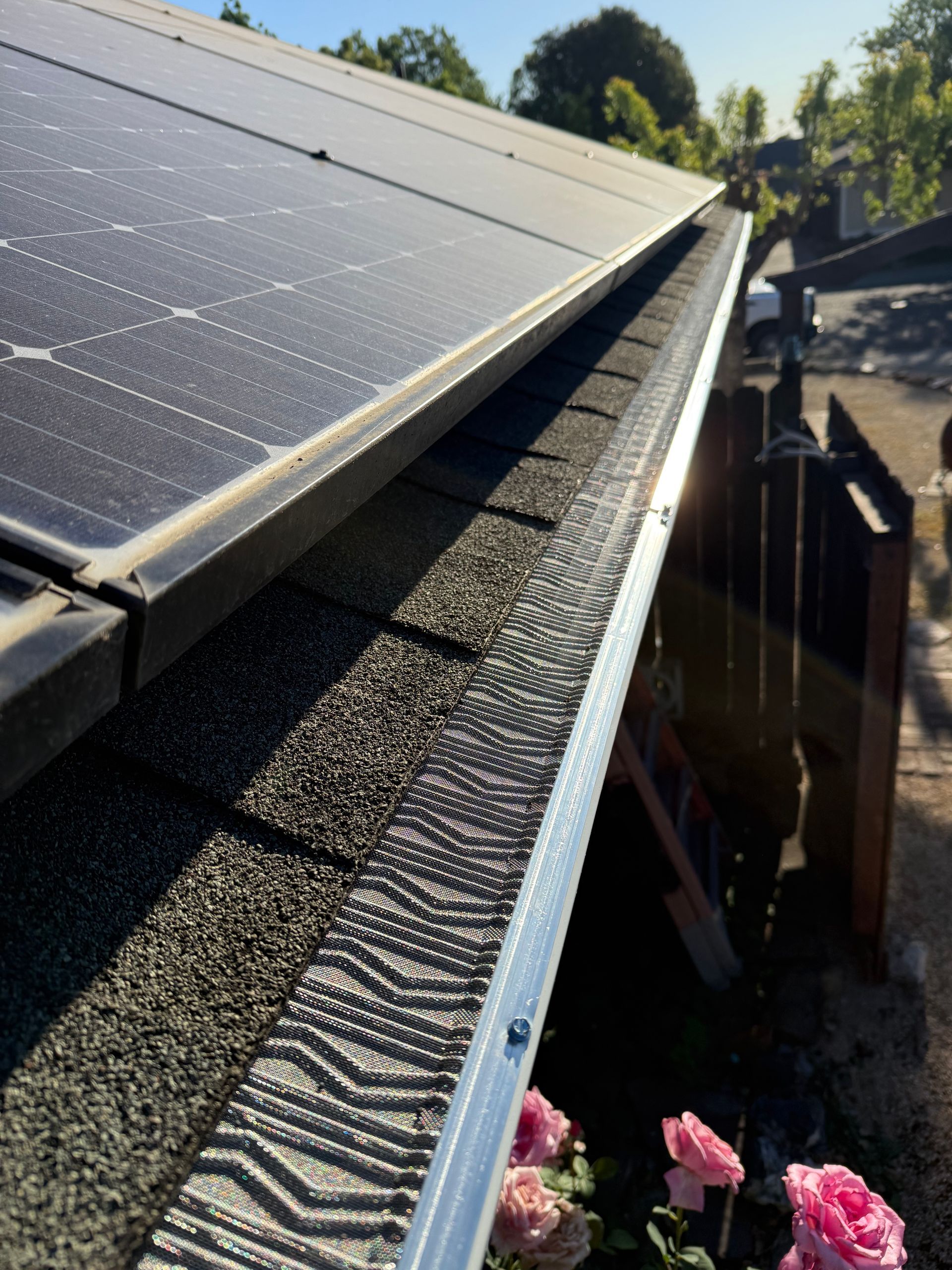 Solar panels mounted along a shingled roof edge above pink flowers in a sunny yard