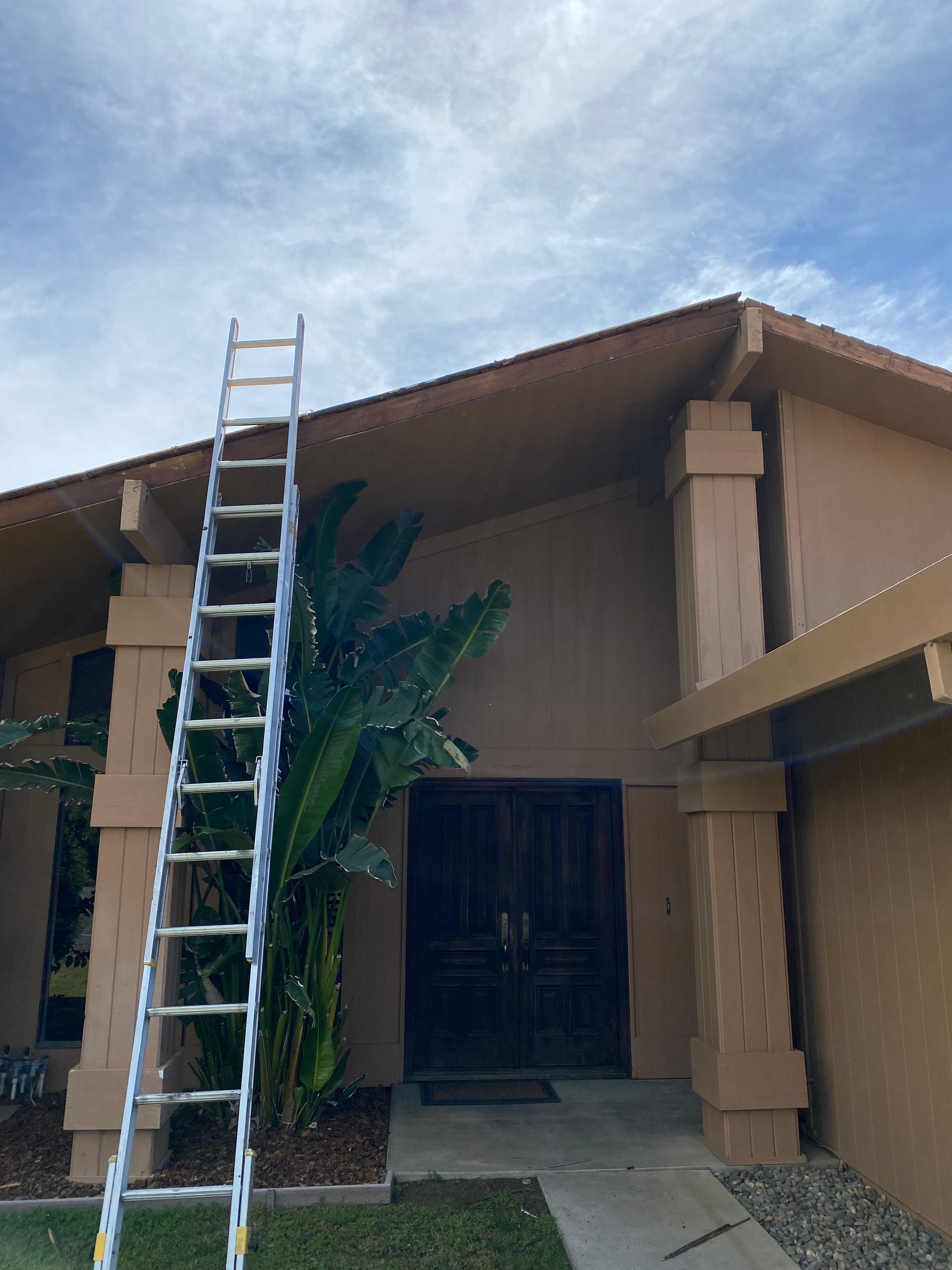 Ladder leaning against a tan building with a covered entrance and a tall palm tree nearby