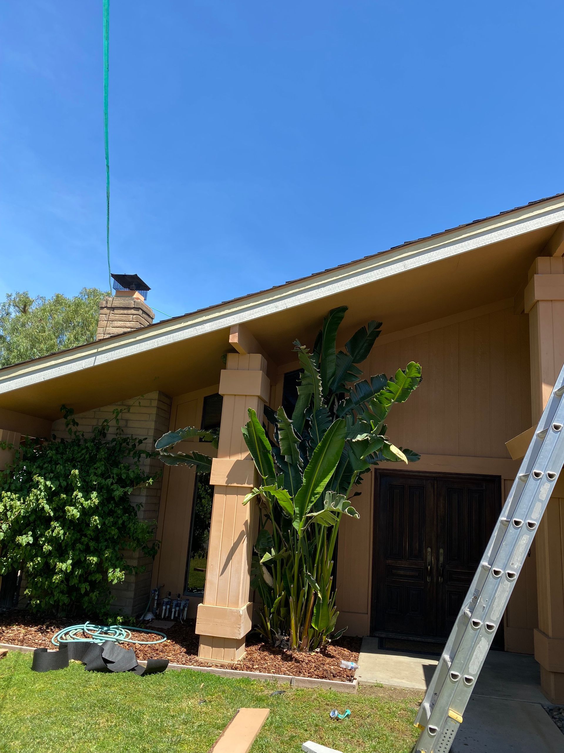 Single-story tan house with a porch, tall tropical plants, and a ladder leaning against the roof.