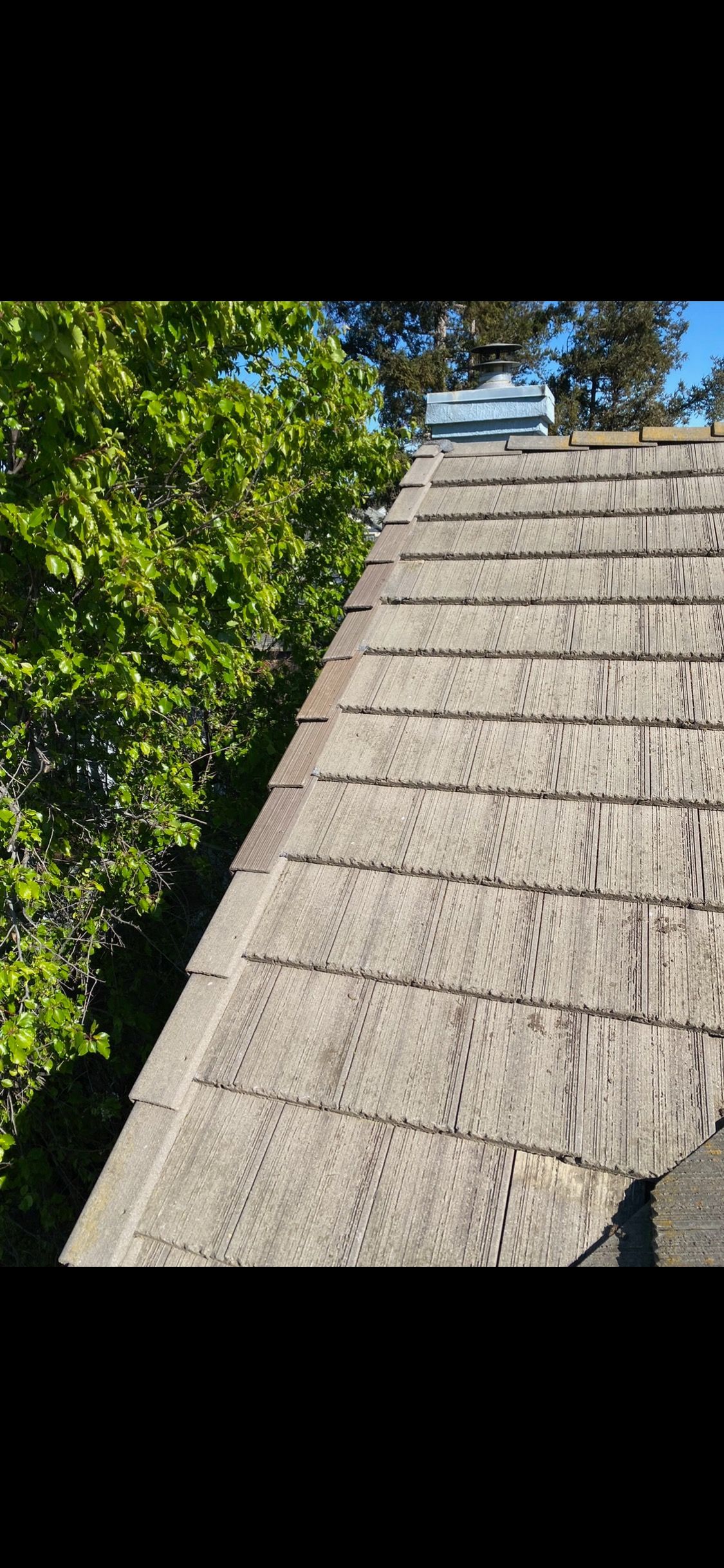Steep gray shingled roof beside leafy green trees under a blue sky