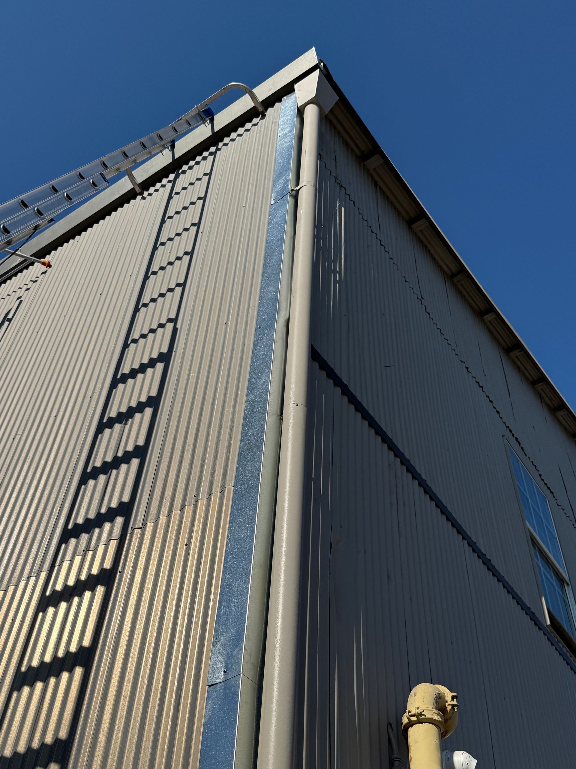 Low-angle view of a tall corrugated metal building with an exterior ladder against a blue sky.