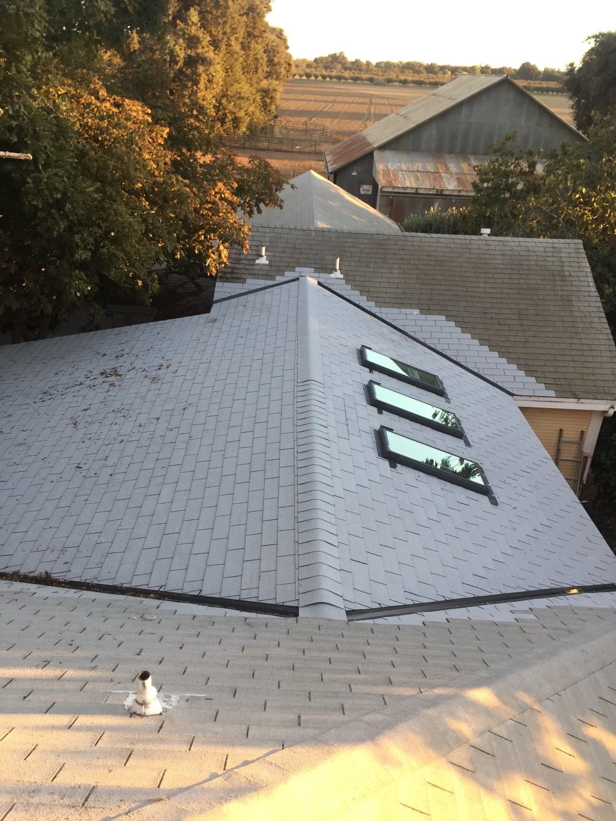 Rooftop with gray shingles and skylights beside trees, viewed over neighboring houses at sunset
