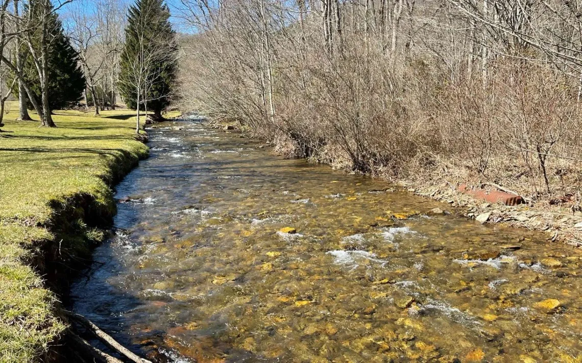 A river flowing through a grassy area surrounded by trees.