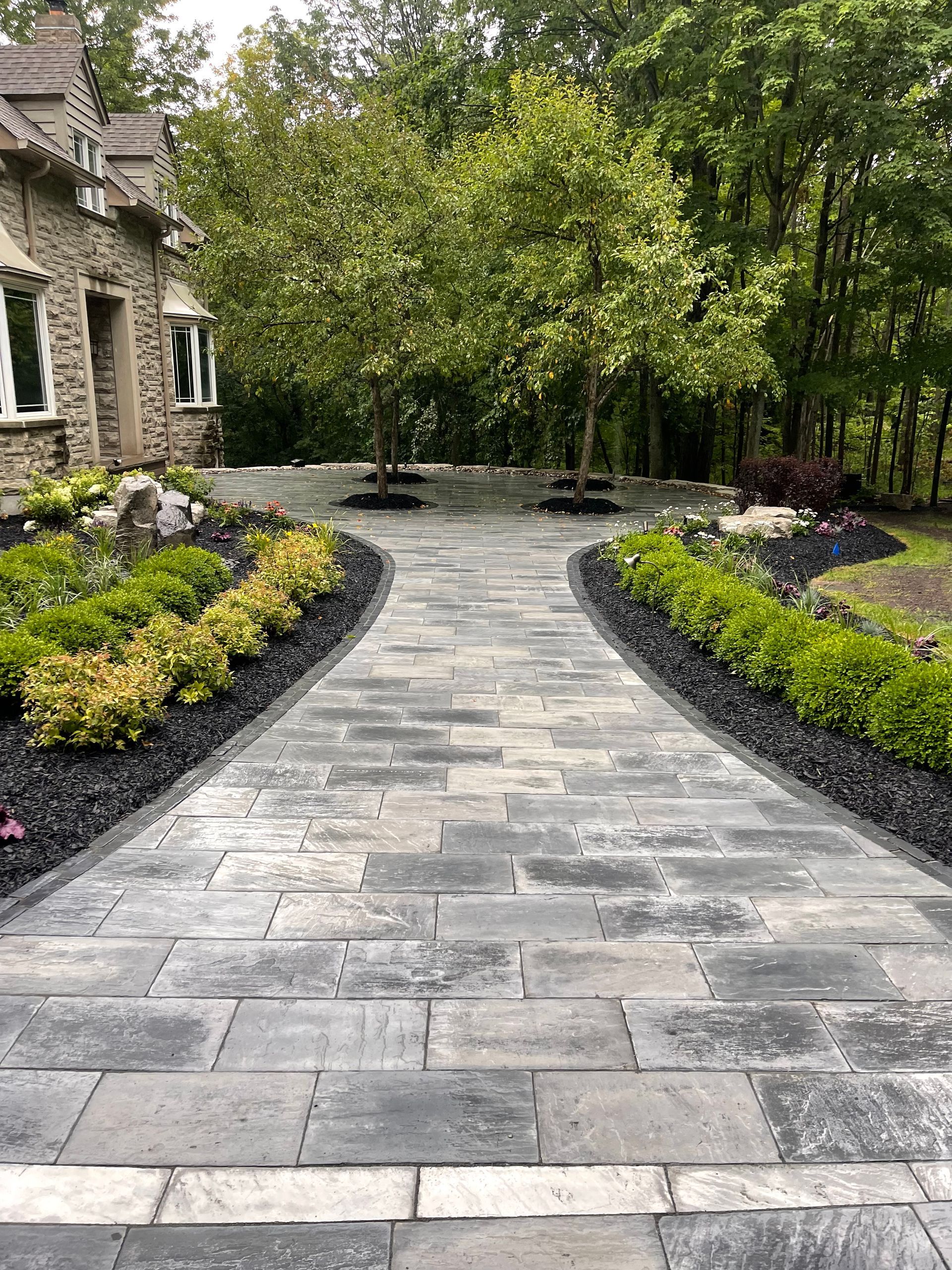 A stone walkway leading to a house surrounded by trees and bushes.