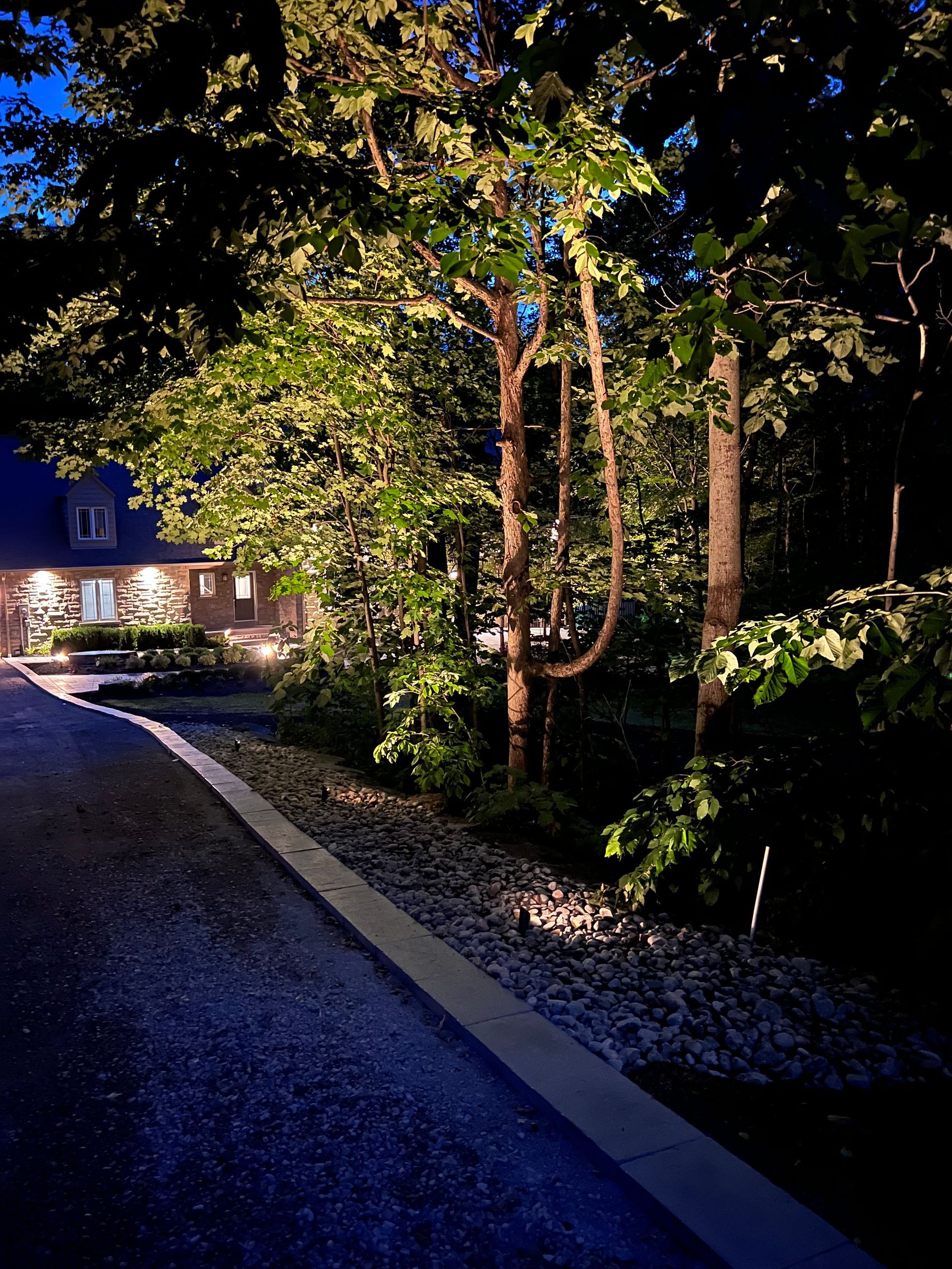 A driveway leading to a house is lit up at night.