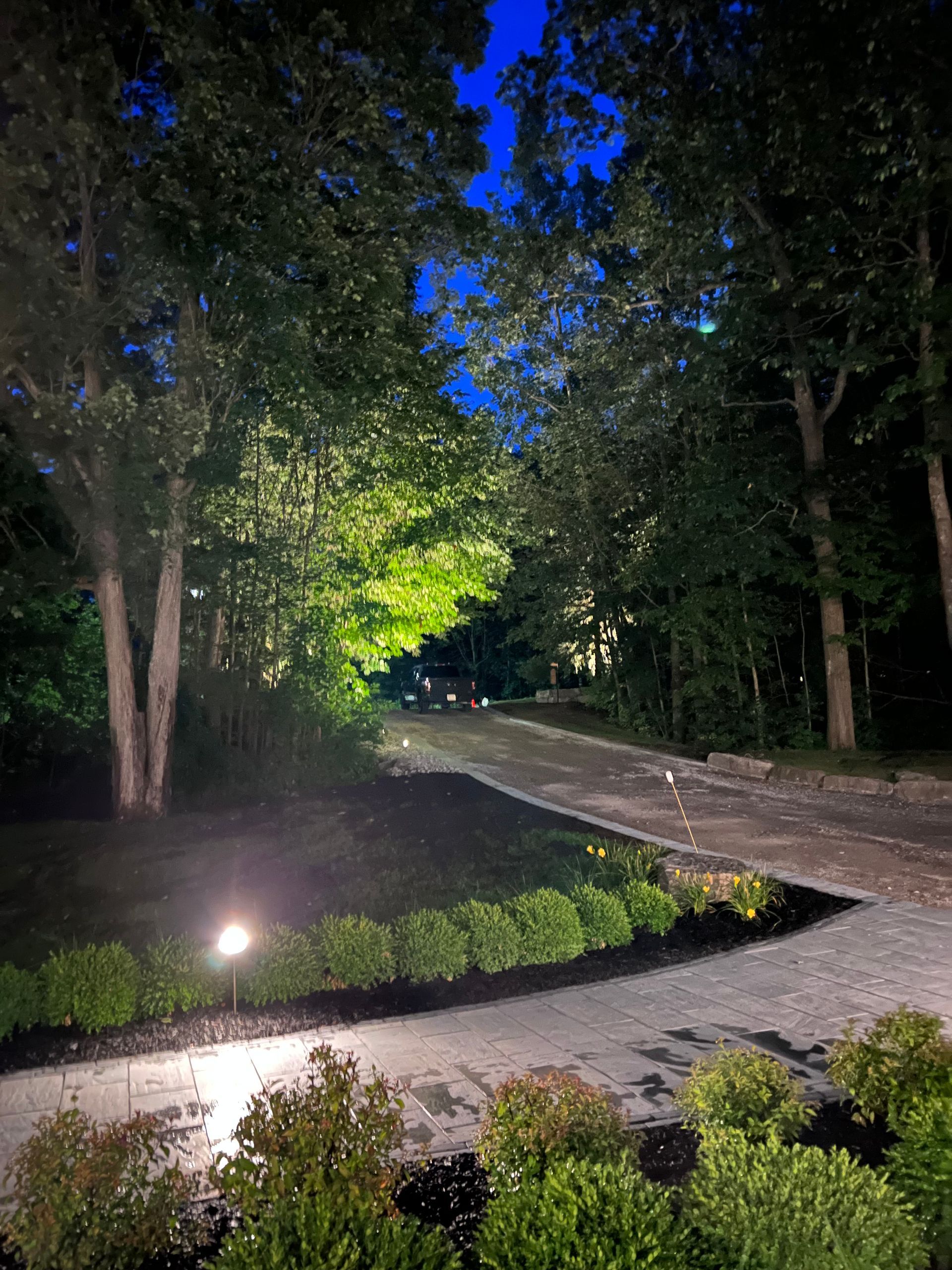 A driveway is lit up at night with trees in the background.