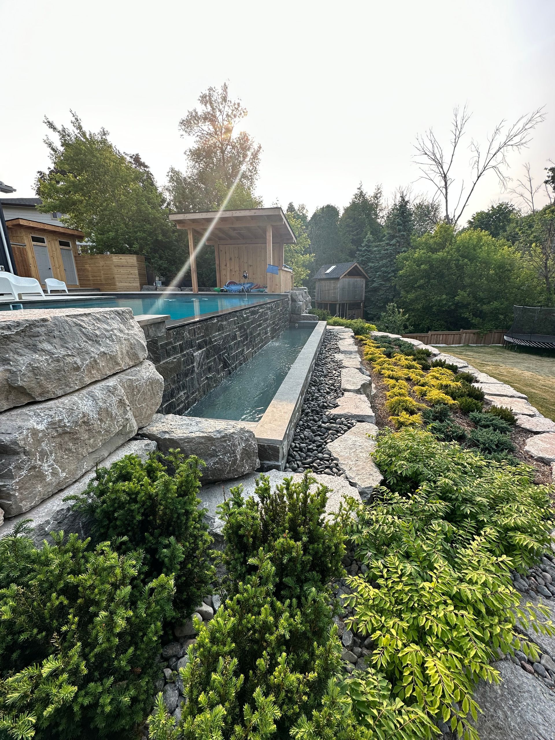 A swimming pool is surrounded by rocks and plants in a backyard.
