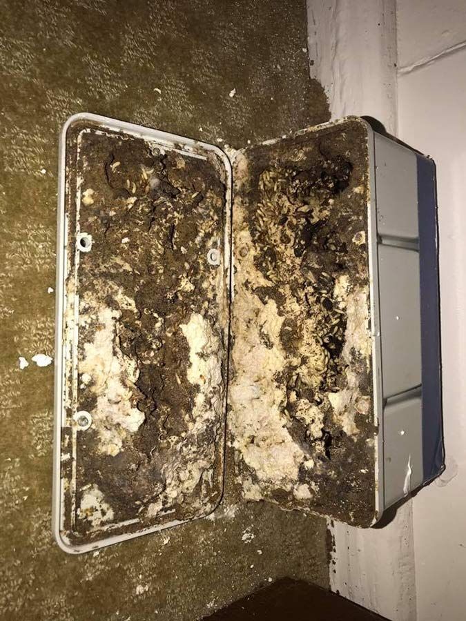 A Dirty Box Is Sitting On The Floor Next To A Wall — Cantips Pest Control in Albury, NSW