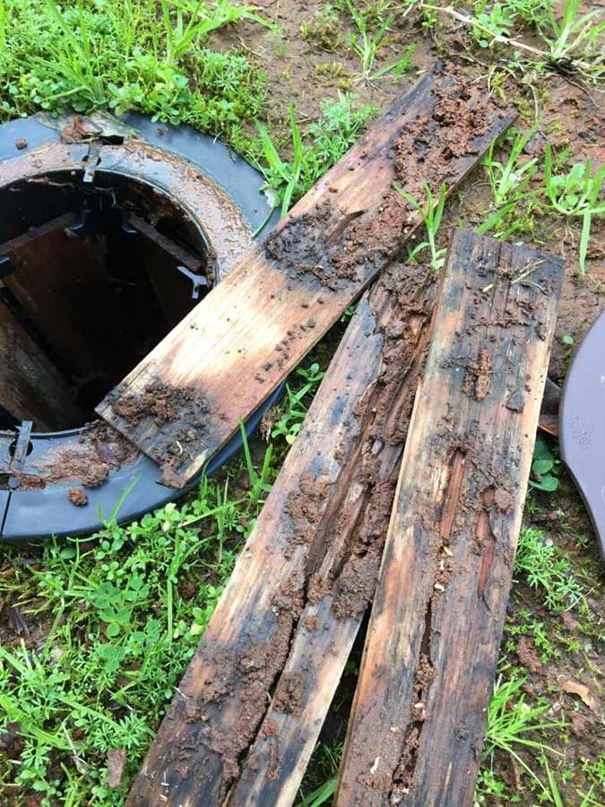 A Pile Of Wood Is Laying On The Ground Next To A Manhole Cover — Cantips Pest Control in Albury, NSW