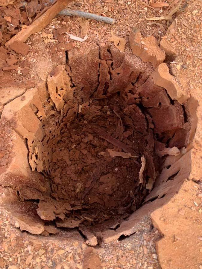 A Hole In The Ground Made Of Bricks And Dirt — Cantips Pest Control in Albury, NSW
