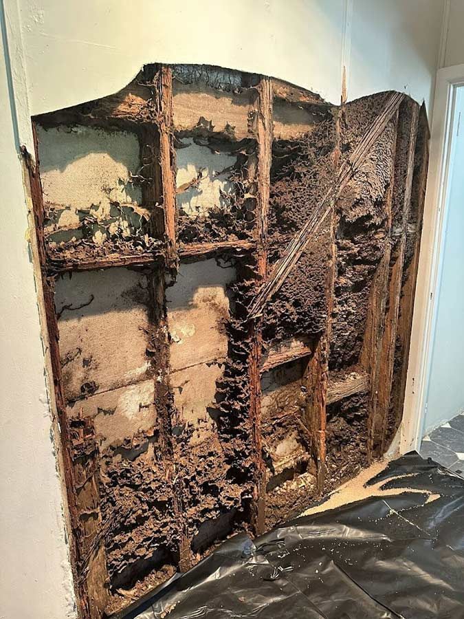 A Room With A Hole In The Wall Filled With Termites — Cantips Pest Control in Albury, NSW
